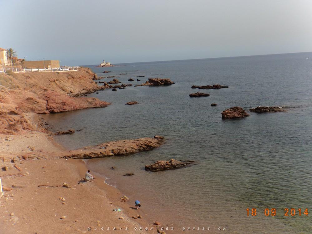 6 Arzew-Plage Saint-Michel-18-09-2014.JPG -                                